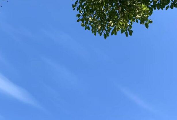 紅星照耀中國(guó)每章感悟