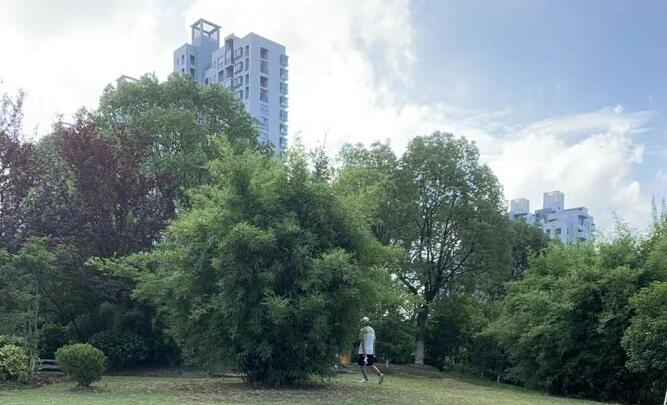 覆盆子對(duì)女性功效