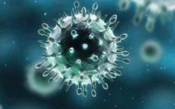 美國病毒獵手確診新冠肺炎