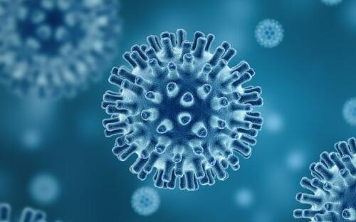 韓國N號房受害人發(fā)聲