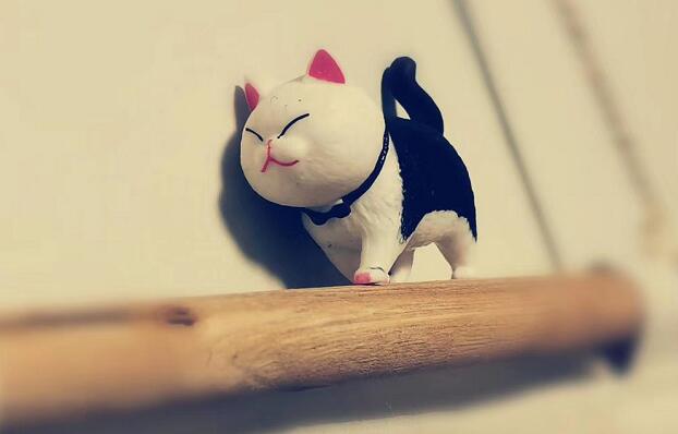 特朗普稱美國將分區(qū)域解封