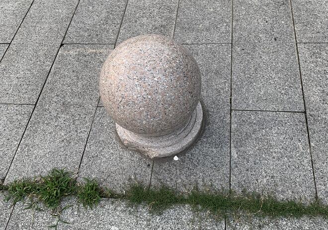 男人可以吃鵝蛋嗎？