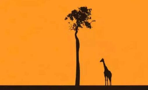 羅志祥發(fā)文否認媽媽生病,請不要攻擊我媽媽