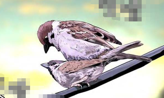 過(guò)秦論原文及翻譯