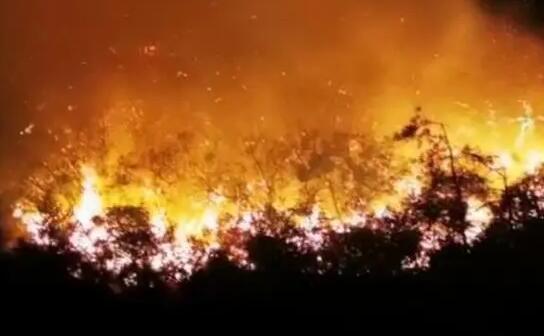 廣東汕頭南澳發(fā)生森林火災(zāi)