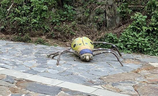 新精神活性物質(zhì)又稱為什么