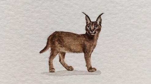 約法三章是什么生肖