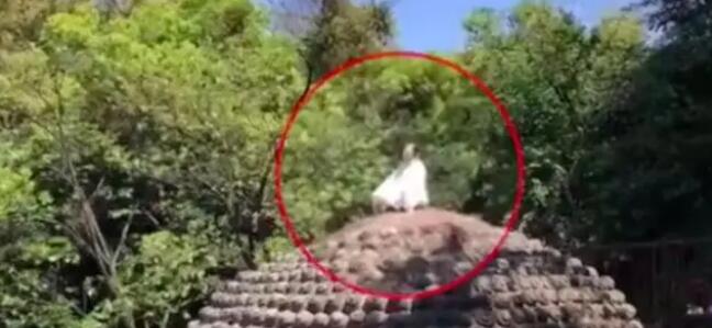 女子爬上樂(lè)山大佛頭頂盤(pán)腿打坐