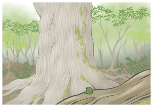 舉重注意事項(xiàng)