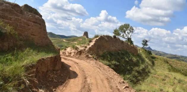 年薪800萬(wàn)高管被拘留調(diào)查