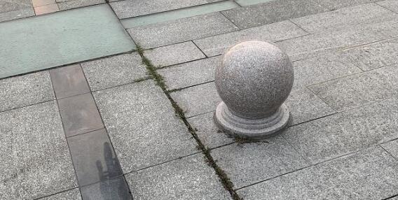 大連海關(guān)旅客攜核輻射保健石入境