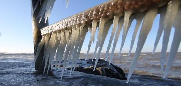 青島膠州灣出現(xiàn)海冰凌景觀