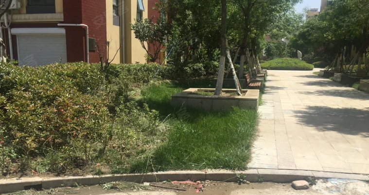 山東平度兩幼師出租房內(nèi)遇害