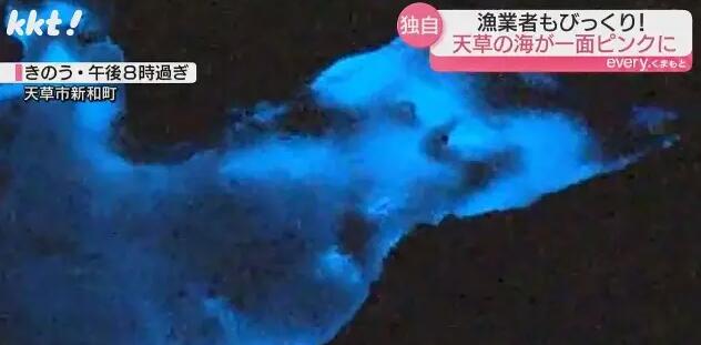 日本一處海域呈現(xiàn)神秘粉紅色