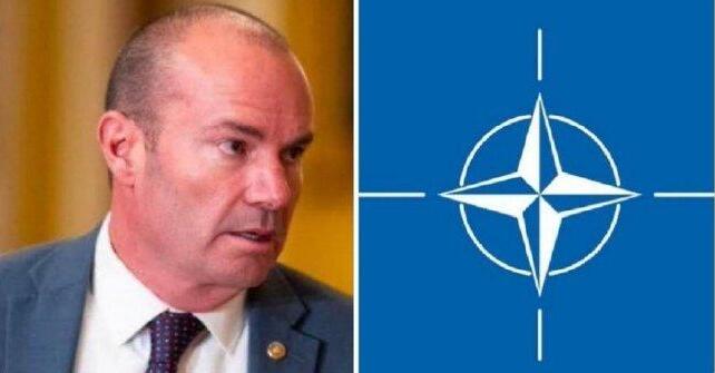 馬斯克贊成美國退出聯(lián)合國和北約